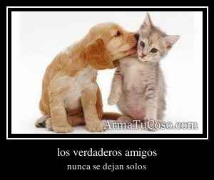 los verdaderos amigos