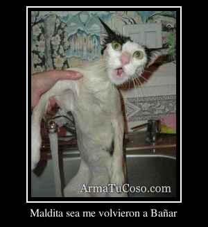 Maldita sea me volvieron a Bañar
