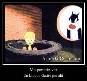 Me parecio ver