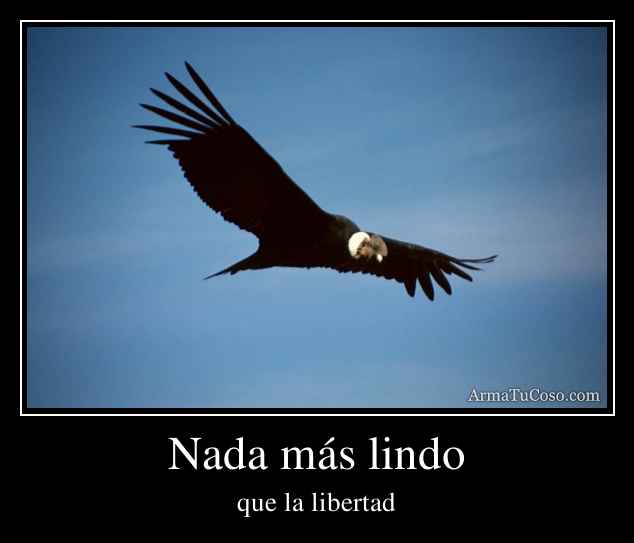 Nada más lindo