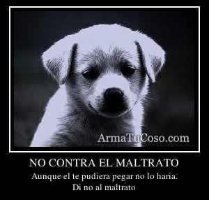 NO CONTRA EL MALTRATO