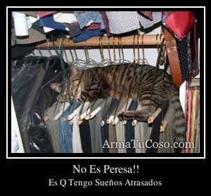 No Es Peresa!!