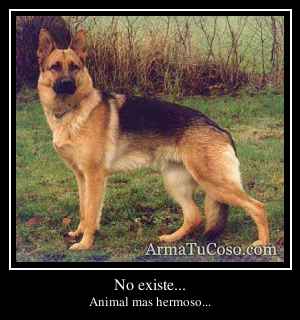 No existe...