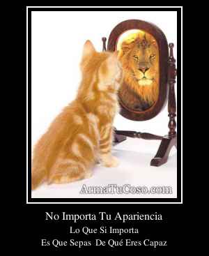 No Importa Tu Apariencia