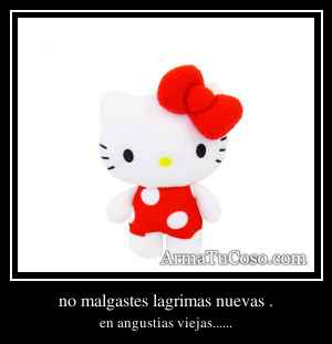 no malgastes lagrimas nuevas .