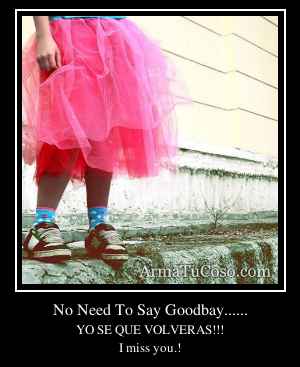No Need To Say Goodbay......