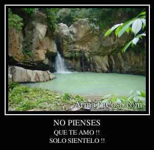 NO PIENSES