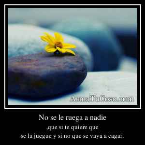 No se le ruega a nadie
