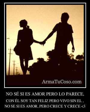 NO SÉ SI ES AMOR PERO LO PARECE,