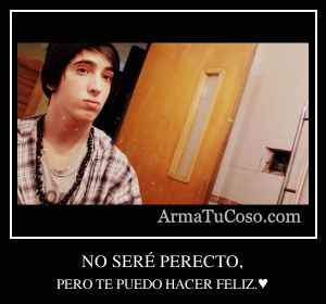 NO SERÉ PERECTO,