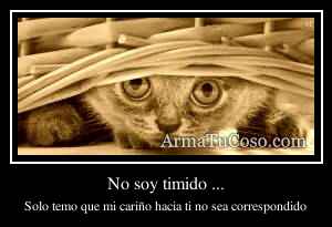 No soy timido ...