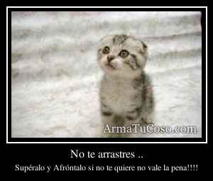 No te arrastres ..