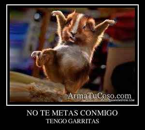 NO TE METAS CONMIGO