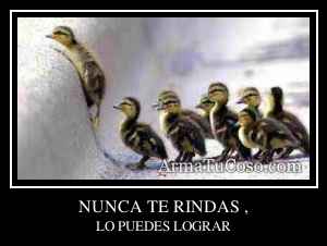 NUNCA TE RINDAS ,
