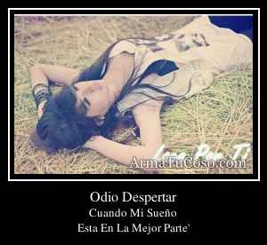 Odio Despertar