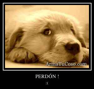 PERDÓN !