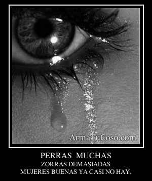 PERRAS  MUCHAS
