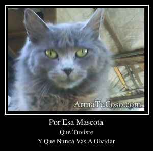 Por Esa Mascota
