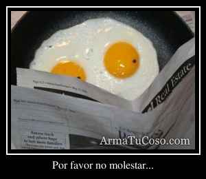 Por favor no molestar...