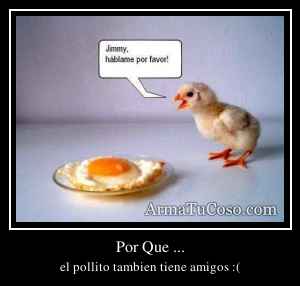 Por Que ...