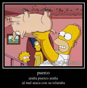 puerco