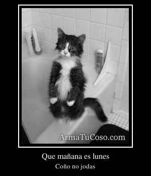 Que mañana es lunes