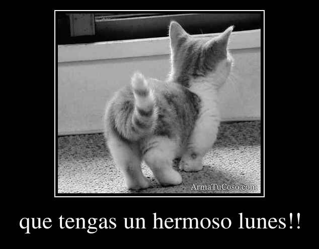 que tengas un hermoso lunes!!