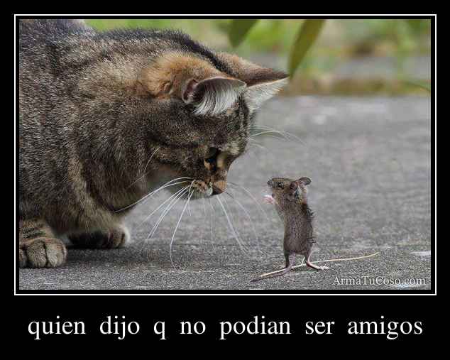 quien  dijo  q  no  podian  ser  amigos