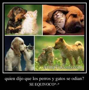 quien dijo que los perros y gatos se odian?