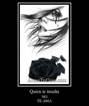 Quien te insulta