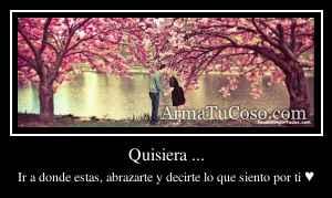 Quisiera ...