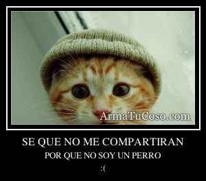 SE QUE NO ME COMPARTIRAN