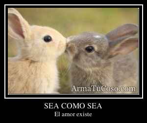 SEA COMO SEA