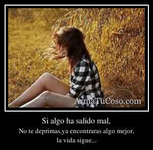 Si algo ha salido mal,