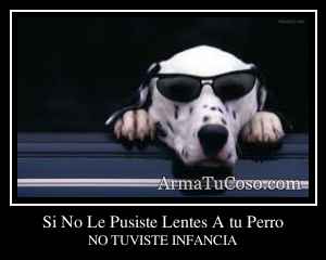 Si No Le Pusiste Lentes A tu Perro
