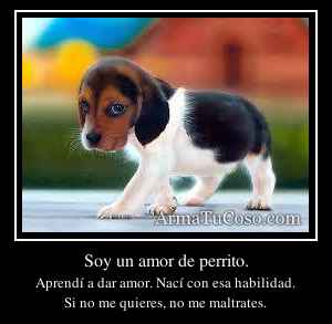 Soy un amor de perrito.