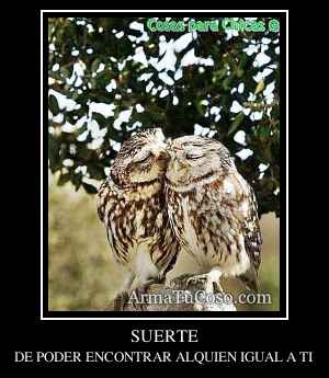 SUERTE