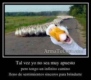 Tal vez yo no sea muy apuesto