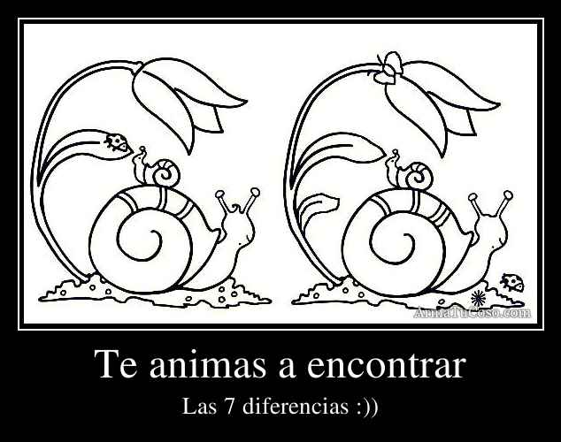 Te animas a encontrar