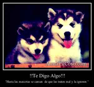 !!Te Digo Algo!!!