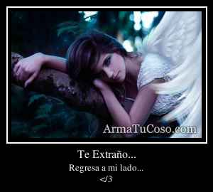 Te Extraño...