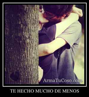 TE HECHO MUCHO DE MENOS