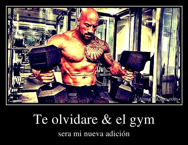 Te Olvidare And El Gym 8927