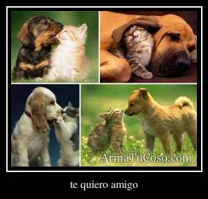 te quiero amigo