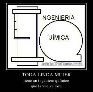 TODA LINDA MUJER