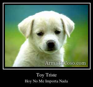 Toy Triste