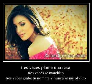 tres veces plante una rosa