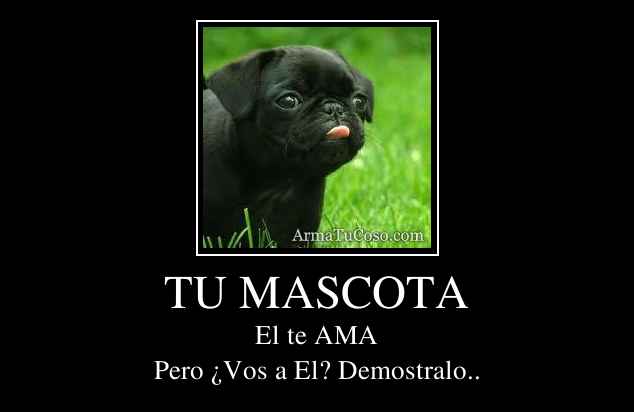 TU MASCOTA