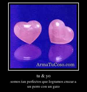 tu & yo