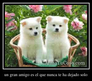un gran amigo es el que nunca te ha dejado solo